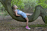 The Woodland Trust