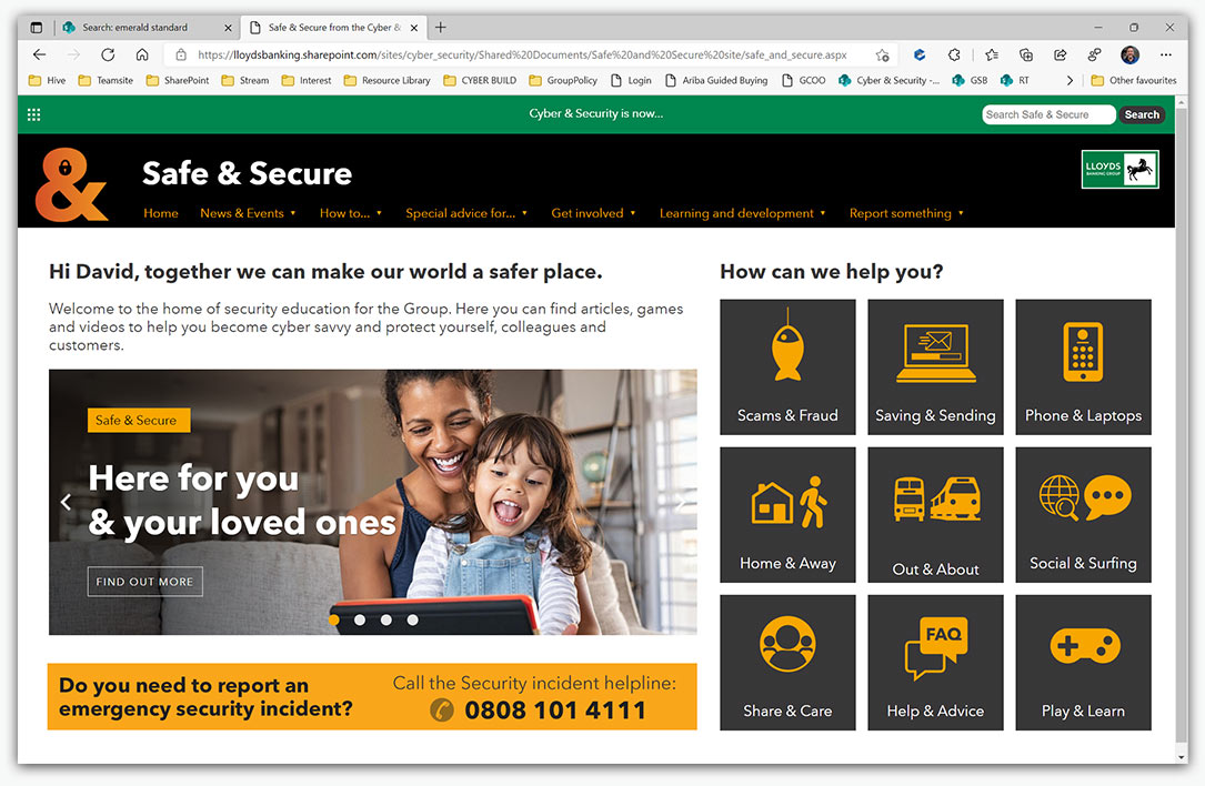Safe & Secure custom website